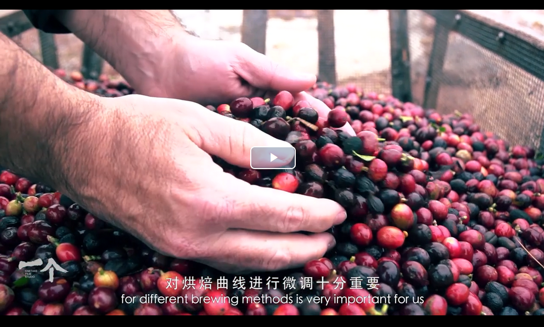 普洱咖啡-中国咖啡产地纪录片